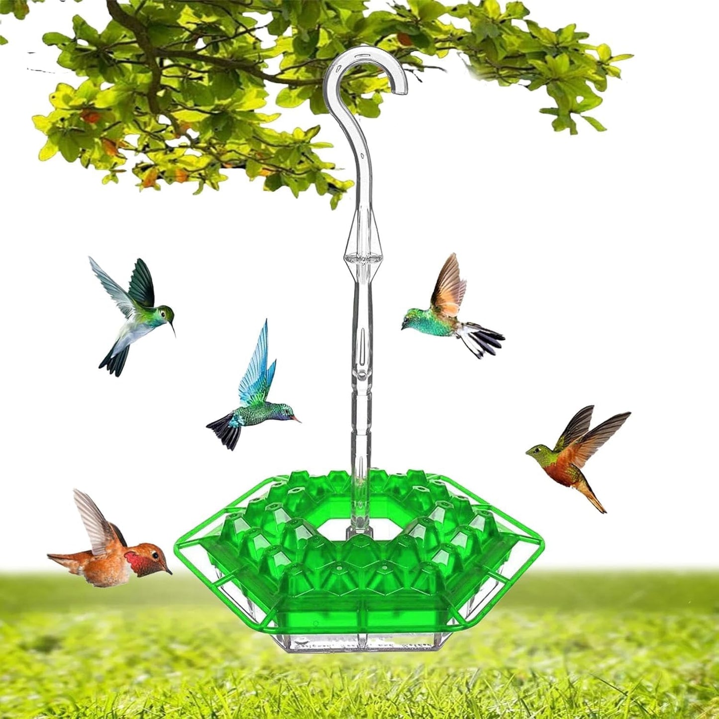 ✨Hummingbird Feeders for Outdoors Hanging