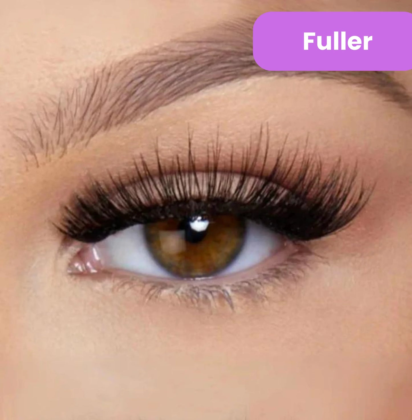 Snap-On Magnetic Lashes